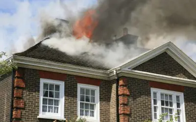 The Homeowner’s Guide to Summer Wildfire Safety in California