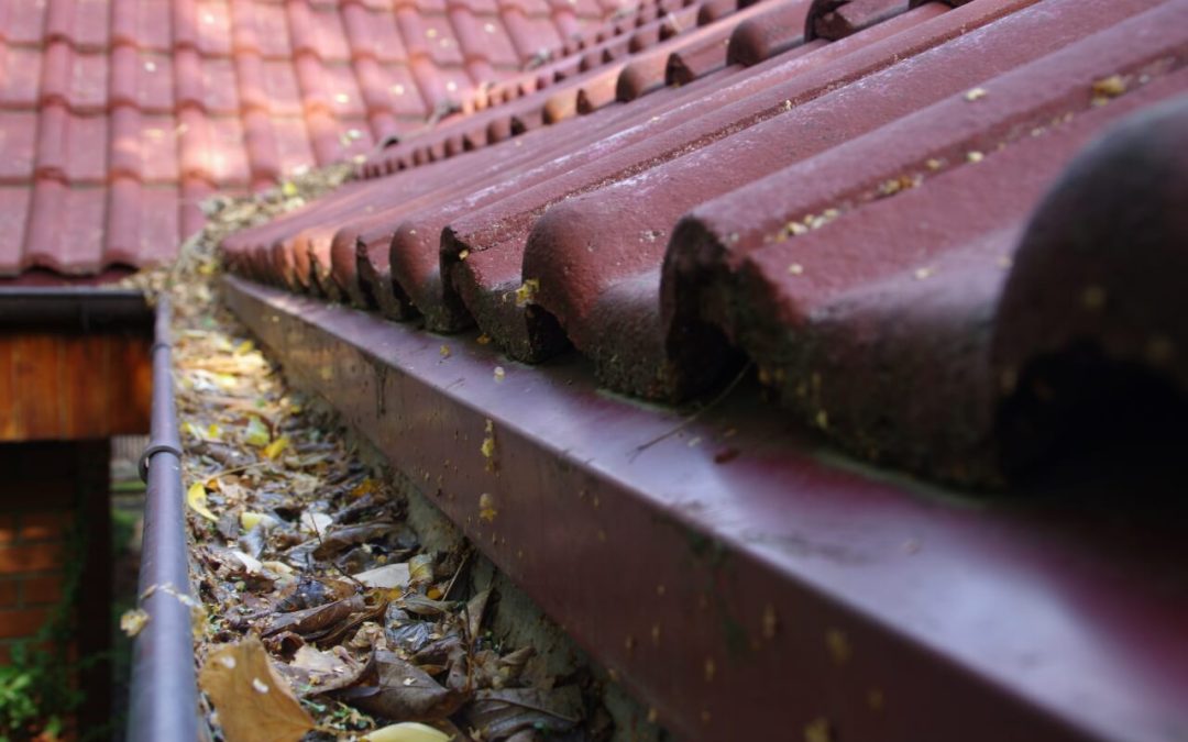 How to Safely Clean Your Home’s Gutters